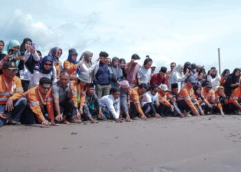 Dukung Keanekaragaman Hayati Laut, Agincourt Resources Siap Lepas 1.000 Tukik di Pantai Barat Muara Opu, Tapanuli Selatan