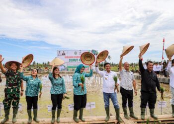 Pj Gubernur Sumut Ajak Masyarakat Kepulauan Nias Terus Perkuat Ketahanan Pangan