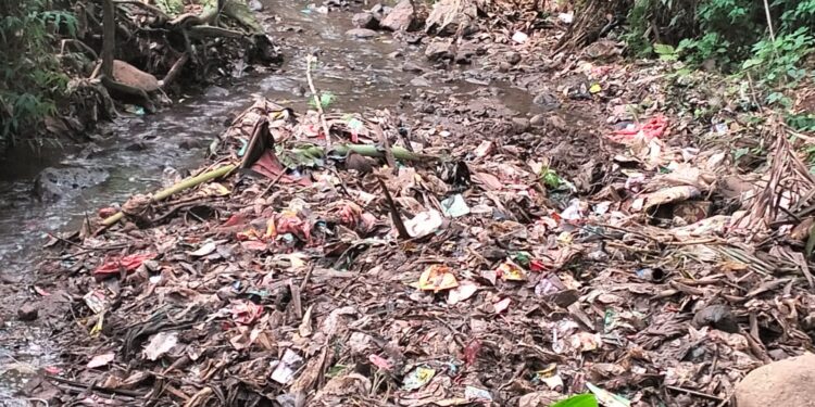 Diinisiasi Oleh Firdaus, DLH Serang dan Muspika Mancak Dukung Program Bersih Sungai Pokja Konstituen Dewan Pers Banten 