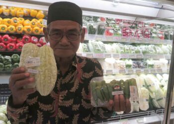 Keteguhan dan Transformasi : Kisah sukses petani Pak Haji Iyas