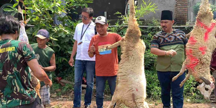Pokja Konstituen Dewan Pers Provinsi Banten Sembelih Hewan Kurban, 25 Kambing 1 Sapi