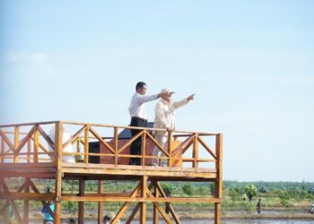 Presiden Prabowo Didampingi Mentan Amran Kunjungan Perdana ke Lahan Pertanian Merauke