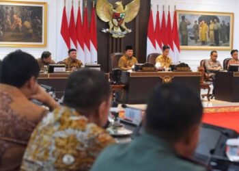 Presiden Prabowo Optimis Indonesia Tak Akan Impor Beras Lagi di 2025