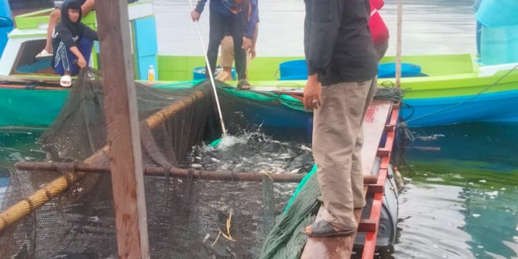 Kades Kota Batu Bagi-bagi Keuntungan Usaha Rp87 Juta ke Warga