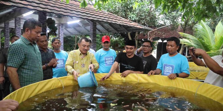 Wawali Harris Bobihoe Dukung Usaha Pemuda Di Sektor Perikanan Air Tawar