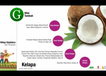 STII Siap Kembangkan Komoditas Kelapa di Seluruh Daerah
