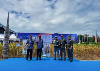 Panen Raya Kedelai STII Presiden RI bersama Menteri Pertahanan berlangsung di Lampung