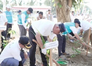 Hari Lingkungan Hidup 2026, Sumbar Tanam Seribu Bibit Pohon Pascagalodo