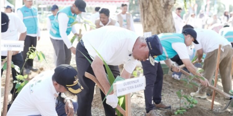 Hari Lingkungan Hidup 2026, Sumbar Tanam Seribu Bibit Pohon Pascagalodo