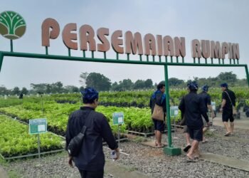 Baduy Lestari, Dari Baduy Untuk Banten, Menanam Harapan Untuk Indonesia Yang Asri